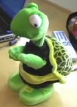 Dancing Turtle.jpg