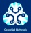 CelestialNetwork.jpg
