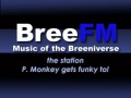 BreeFMLogo.jpg