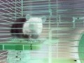 Thumbnail for version as of 23:47, 16 August 2008
