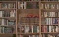 Full shot of bookshelf.jpg