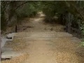 Topanga Canyon Bridge.jpg