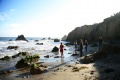 Beach Finale - Jennie Taylor Sarah Daniel Jonas.jpg