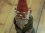 KM0123-MrGnome-cropped.jpg