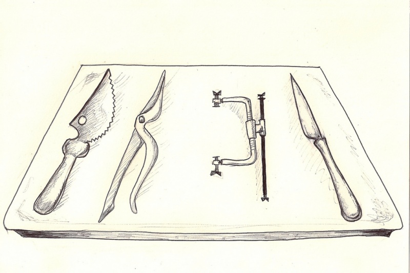 File:Gina Drawing - Tools.jpg