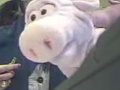 Pigtoy-cropped.JPG