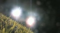 Thumbnail for version as of 20:33, 13 May 2009