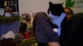 Thumbnail for version as of 01:50, 26 February 2010